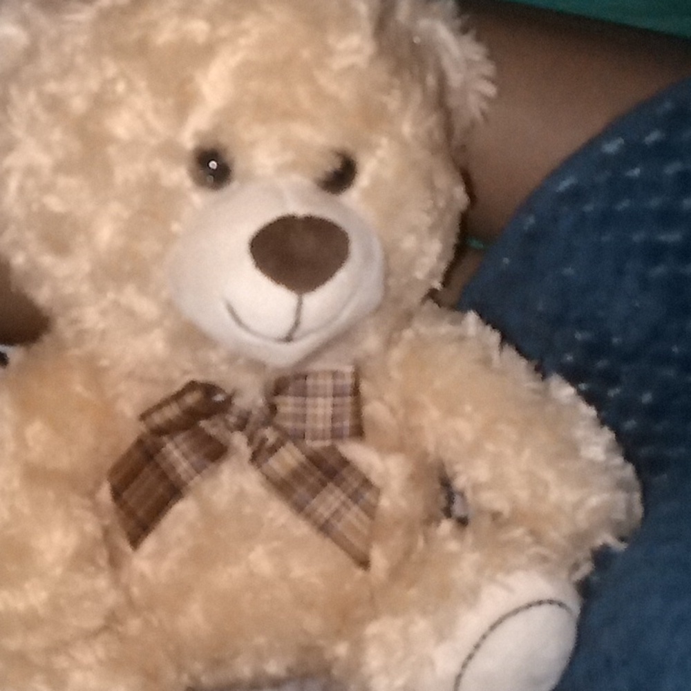 Teddy bear